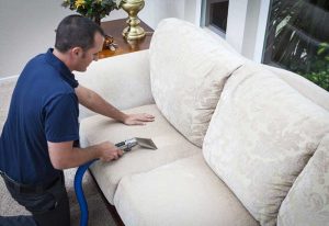 Pet Odor and Stain Carpet Cleaning Service Upland Carpet and Area Rug Cleaning