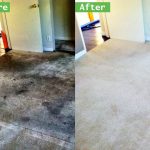 Thorough Carpet Cleaning and Maintenance Is a Necessary Task in Upland