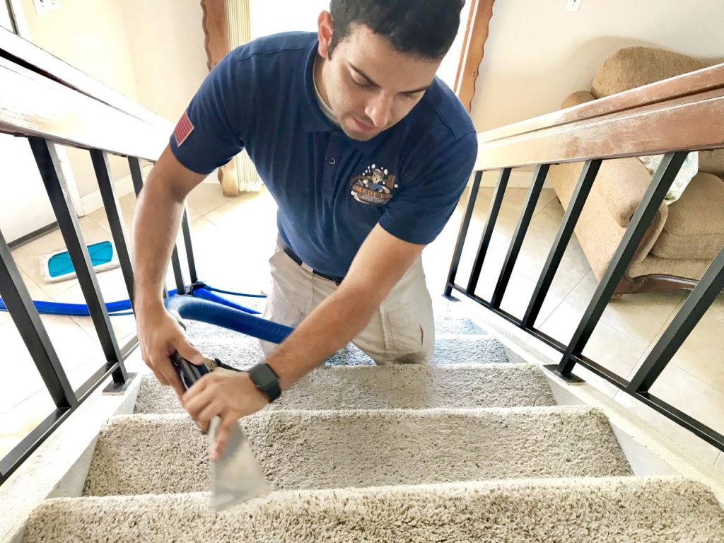 Carpet Cleaning Services in Upland County